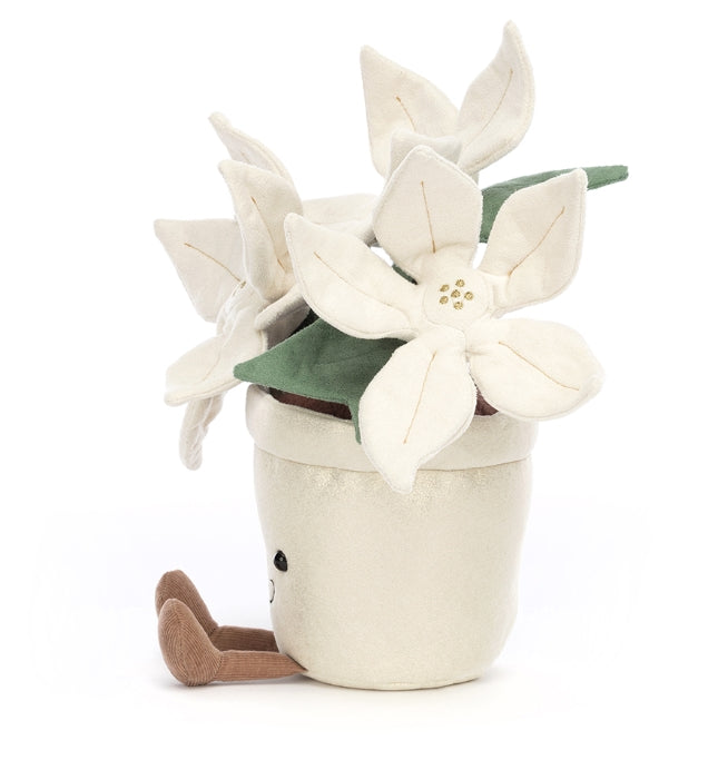 Amuseable Gold Poinsettia