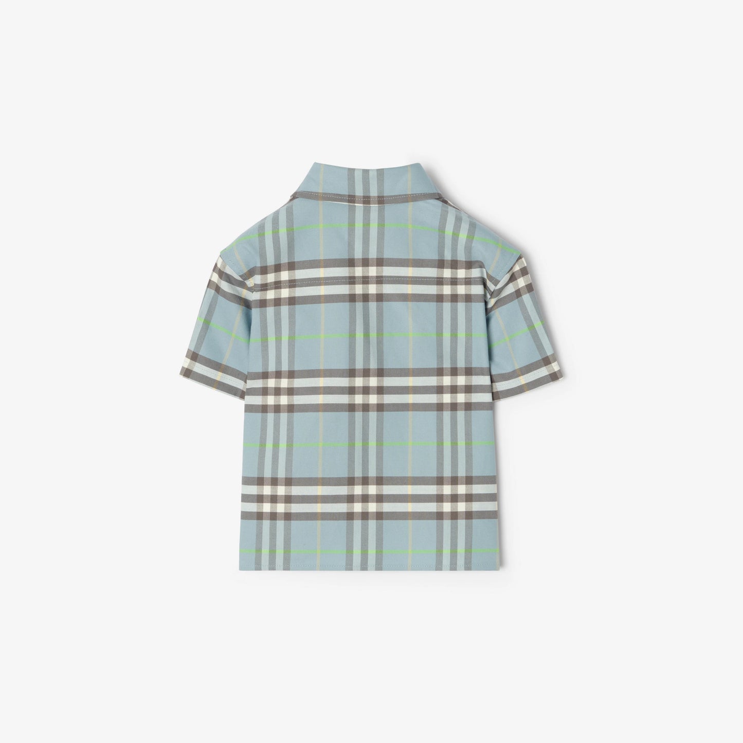 Check Cotton Oxford Shirt