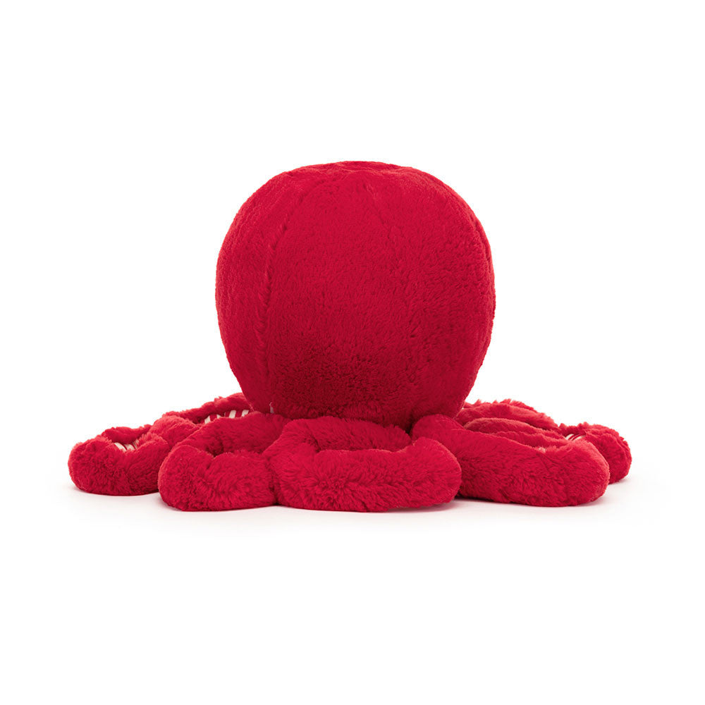 Cranberry Octopus Little