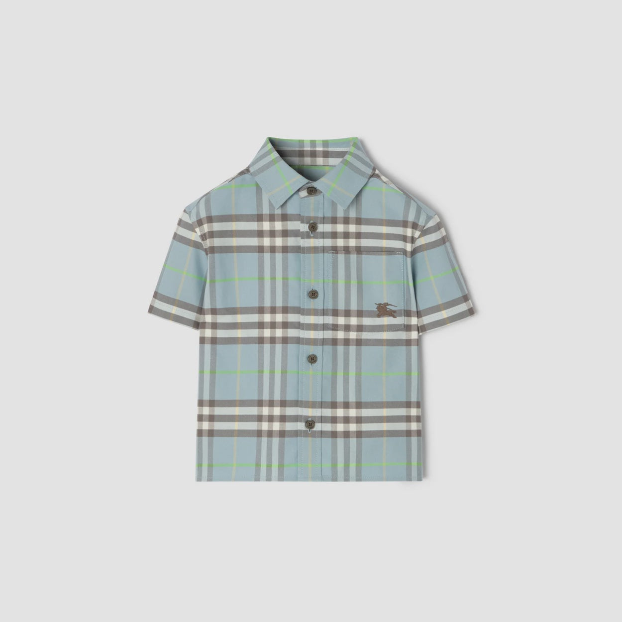 Check Cotton Oxford Shirt