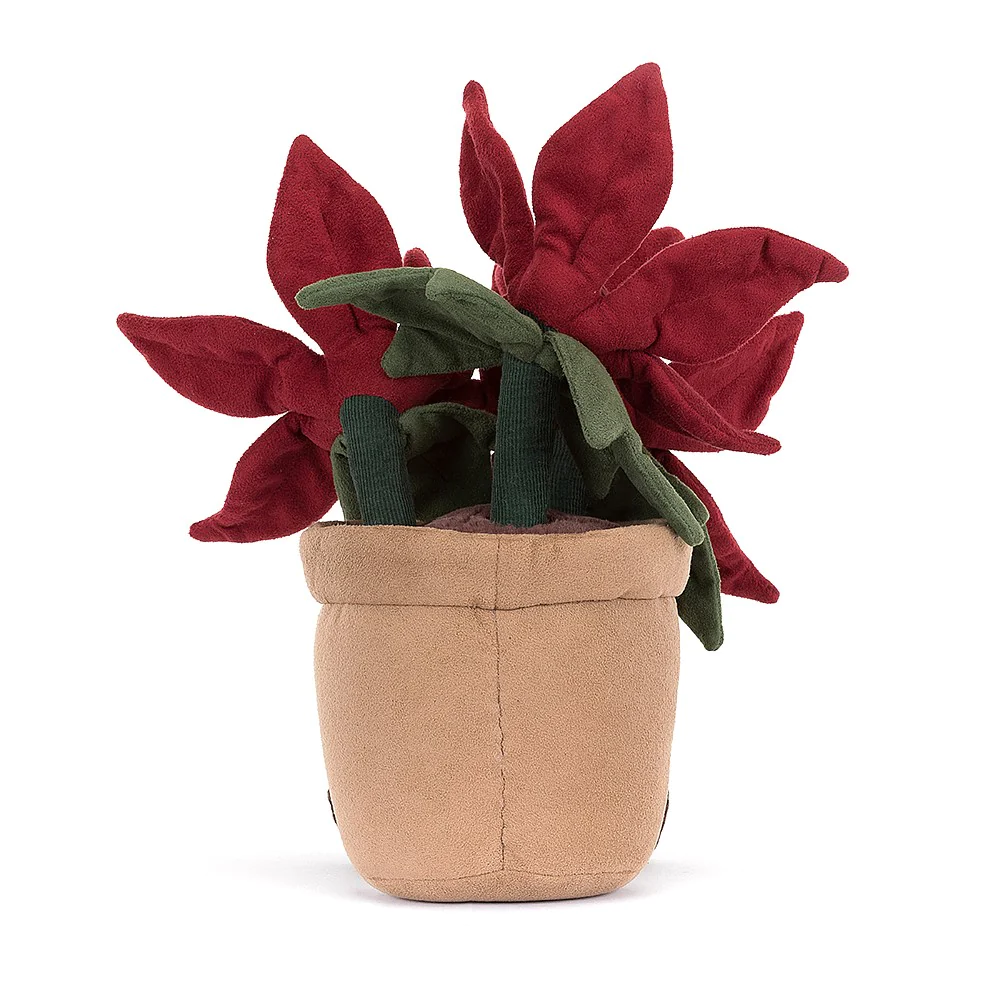 Amuseable Poinsettia (2023)