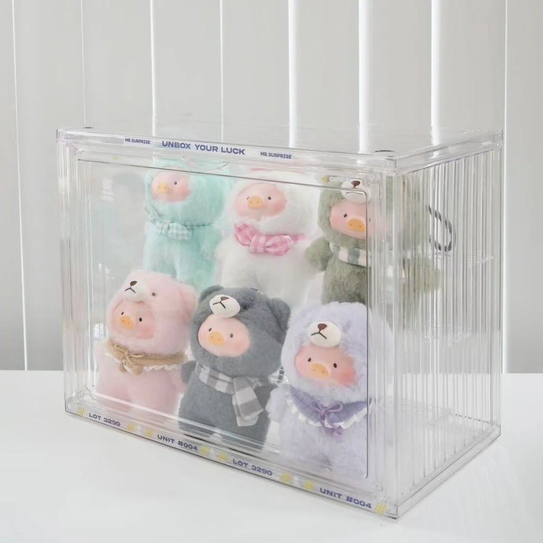 Transparent display case