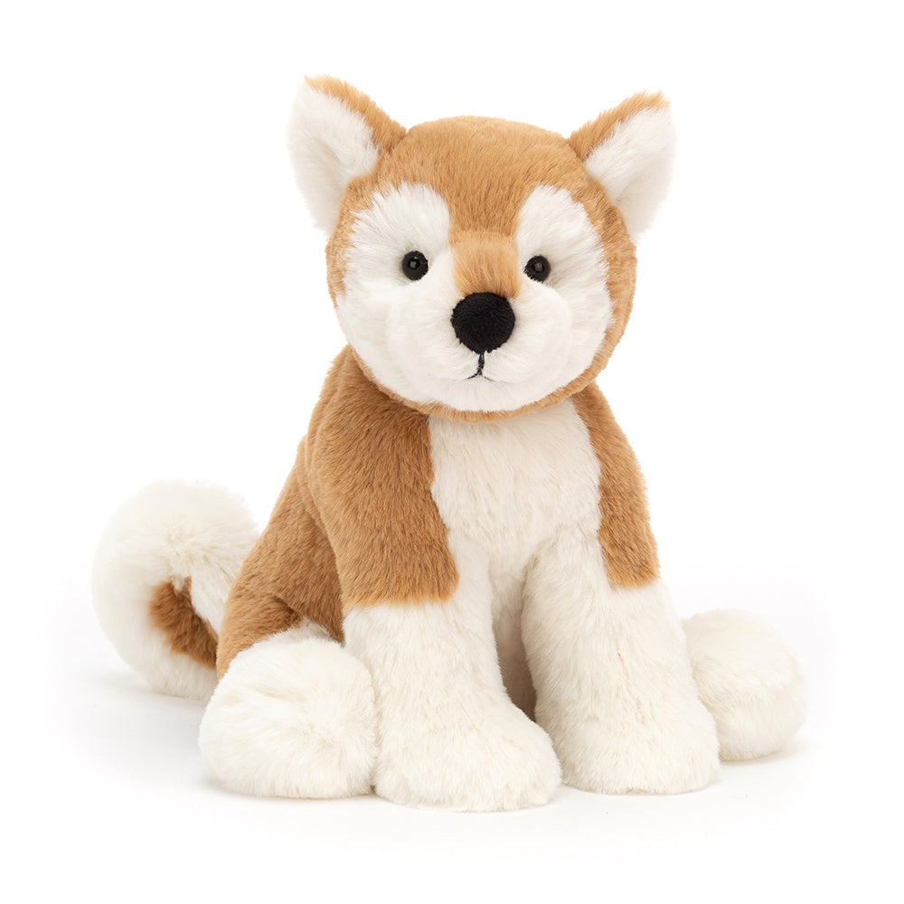 Milo Shiba Inu Medium